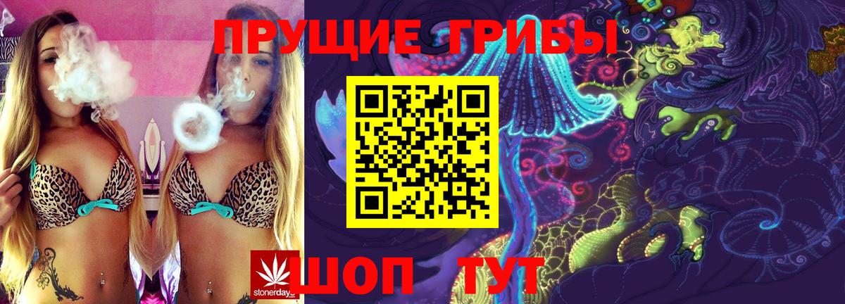 Галлюциногенные грибы Magic Shrooms Новодвинск